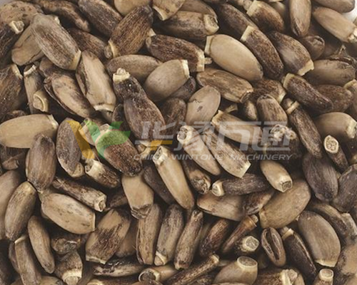 水飞蓟脱壳成套设备 水飞蓟脱壳成套设备