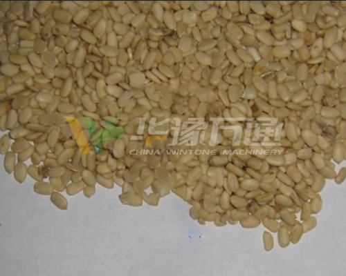 水飞蓟脱壳成套设备 水飞蓟脱壳成套设备